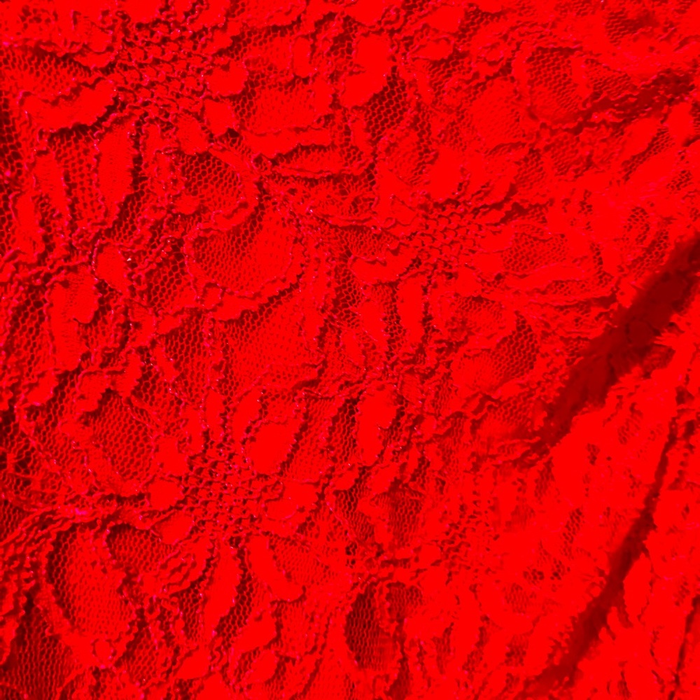 Gorgeous Ralph Lauren Red Lace Dress